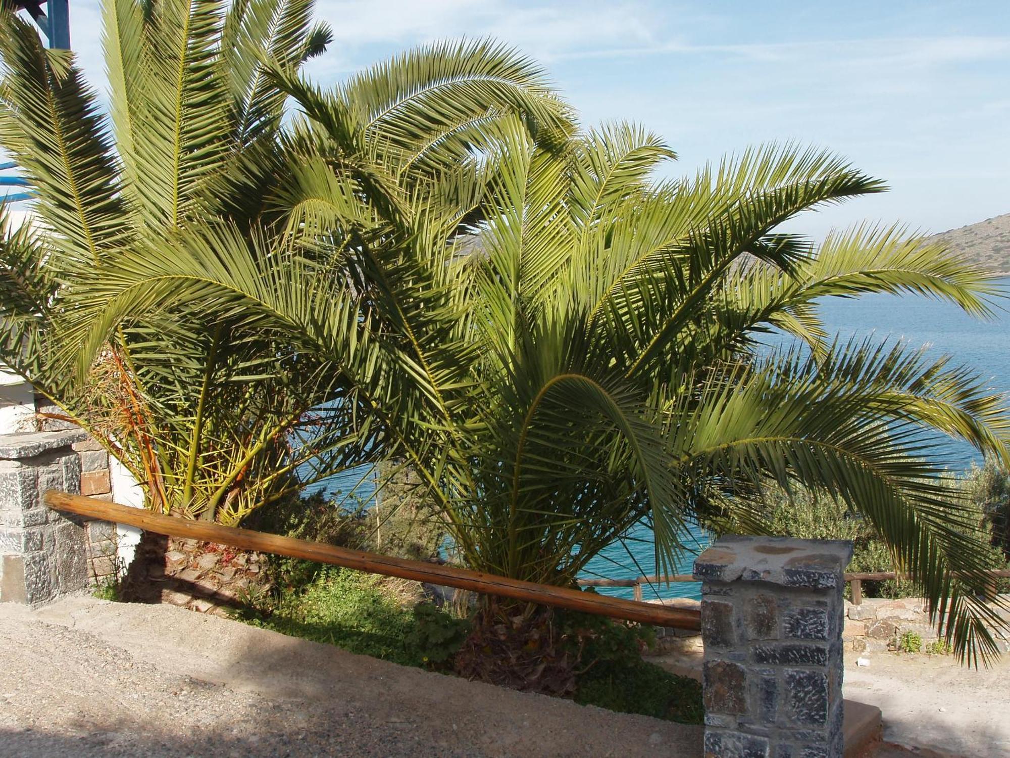 Kavos Bay Apartments Elounda Esterno foto